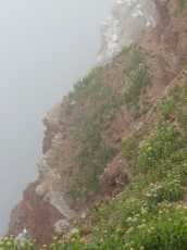 Buesum