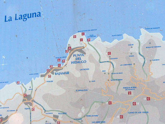hidalgo