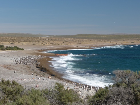Punta Tombo