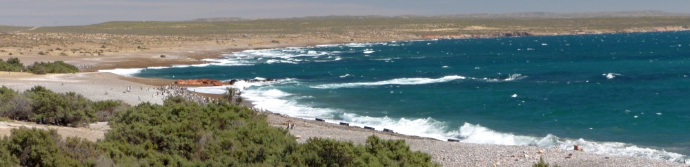 K&uuml;stenstreifen Punta Tombo