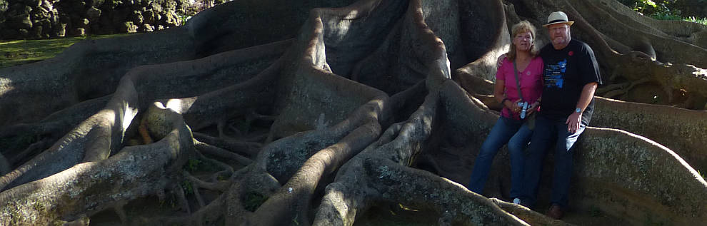 Wir zwischen Riesenwurzeln